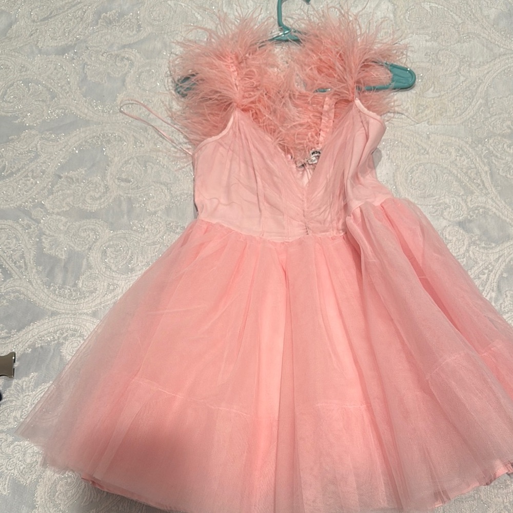 Pink Feathered Tulle Dress
